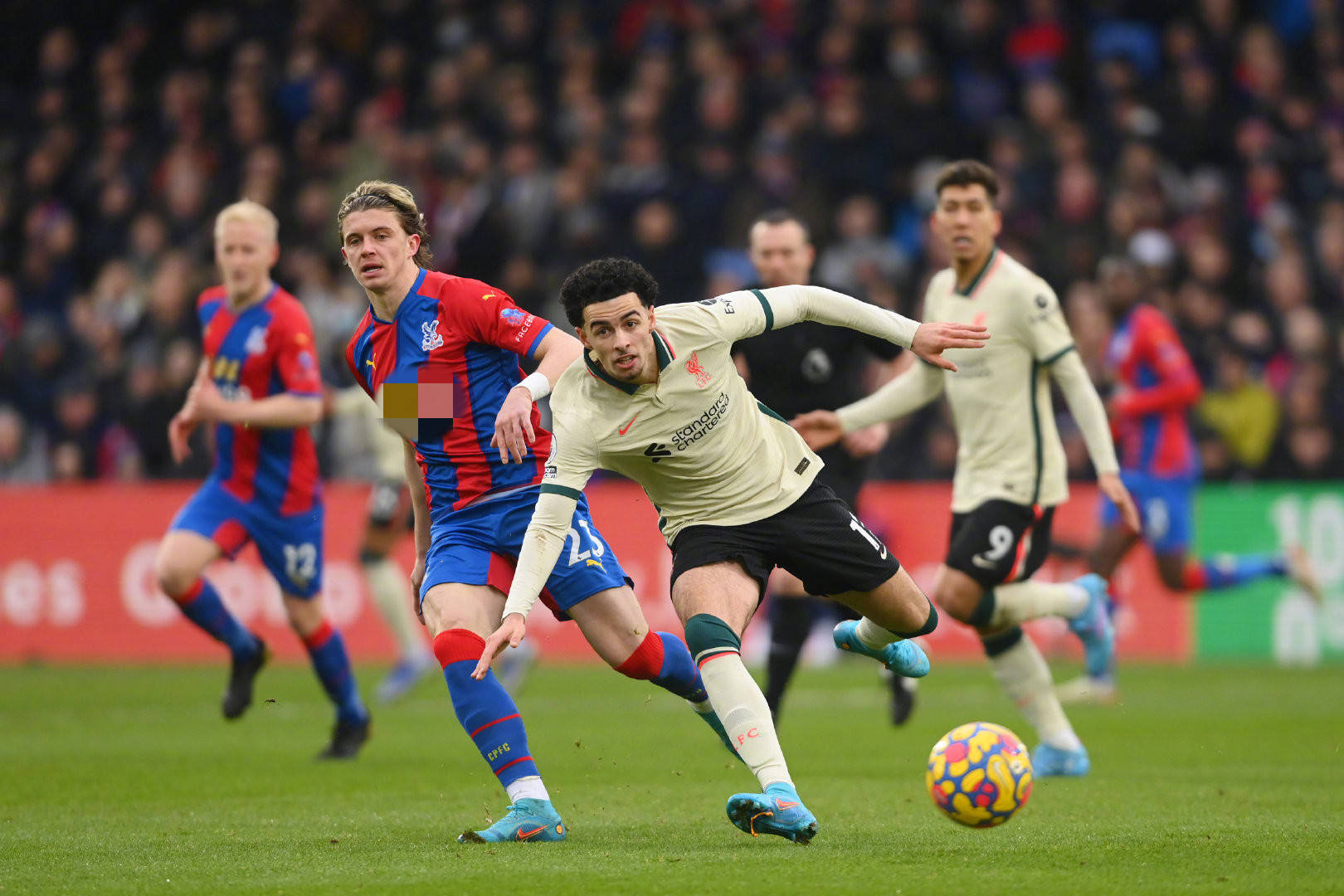 显示了他的 显示了他的